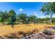 A bright playground featuring swings amidst trees and foliage offers a delightful outdoor recreational space at 1882 S Jesse Pl, Chandler, AZ 85286