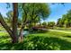 Picturesque pond surrounded by green grass and mature trees, enhancing the community's serene atmosphere at 1887 W Periwinkle Way, Chandler, AZ 85248