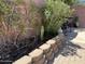 A well maintained backyard with lush desert landscaping, brick planters, and a barbecue grill at 21873 W Pima St, Buckeye, AZ 85326
