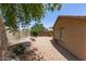 Spacious backyard with drought-tolerant landscaping at 2223 S Hughes Dr, Buckeye, AZ 85326
