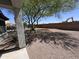 Large backyard featuring gravel, a tree, and a block fence at 26747 W Pontiac Dr, Buckeye, AZ 85396