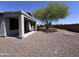 Spacious backyard featuring a large tree that provides plenty of shade at 26747 W Pontiac Dr, Buckeye, AZ 85396