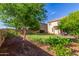 Well-maintained backyard featuring green lawn space, a covered patio, and mature landscaping at 3025 N Desert Horizons Ln, Casa Grande, AZ 85122