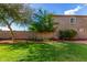 Fenced backyard with grass, landscaping and rock at 3025 N Desert Horizons Ln, Casa Grande, AZ 85122