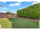 Well-maintained backyard featuring artificial turf, mature landscaping, and privacy wall, perfect for outdoor enjoyment at 4236 S John Way, Chandler, AZ 85249