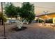 Expansive backyard with gravel landscaping, citrus trees, and covered patio space at 434 N 56Th St, Mesa, AZ 85205