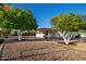 Scenic backyard view features mature trees and a covered patio, providing a tranquil outdoor experience at 434 N 56Th St, Mesa, AZ 85205