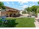 Spacious backyard with covered patio, lush lawn, swimming pool and playground equipment at 438 E Larkspur Ln, Tempe, AZ 85288