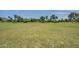Vast, well-maintained community field surrounded by mature trees and residential homes in the distance at 4711 E Buckboard Ct, Gilbert, AZ 85297