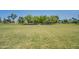 Expansive green space in a community park, offering a serene and open environment for recreation at 4711 E Buckboard Ct, Gilbert, AZ 85297