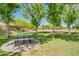 Beautiful community park with lush green grass, picnic tables, and mature shade trees at 4711 E Buckboard Ct, Gilbert, AZ 85297