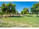 Community playground with mature trees and lush green lawn, perfect for families at 4711 E Buckboard Ct, Gilbert, AZ 85297