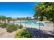 Community pool with fencing and landscaping for residents at 4711 E Buckboard Ct, Gilbert, AZ 85297