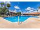 Sparkling community pool surrounded by lounge chairs and palm trees for relaxed outdoor living at 541 N Lesueur St, Mesa, AZ 85203