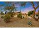 Desert landscaped front yard with mature trees, cacti and gravel, complementing the residence at 12448 N 76Th St, Scottsdale, AZ 85260