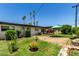 Spacious backyard featuring lush green grass, trees, and a patio at 12835 N 16Th Dr, Phoenix, AZ 85029