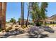 View of charming property with cacti, palm trees, and desert landscaping at 12835 N 16Th Dr, Phoenix, AZ 85029