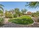 Manicured backyard featuring desert landscaping, a lush grassy area, and shade trees at 18329 W Montebello Ave, Litchfield Park, AZ 85340