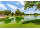 Picturesque lake view with lush green grass and mature trees along the water's edge at 241 W Roadrunner Dr, Chandler, AZ 85286