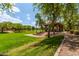 Community park with open green space and mature trees, great for recreational activities and relaxation at 241 W Roadrunner Dr, Chandler, AZ 85286