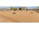 Desert-landscaped front yard with a modern home at 2516 W Joy Ranch Rd, Phoenix, AZ 85086