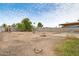 Unleash your creativity in this large backyard with ample space for gardening, playing, and entertaining at 3410 W Pershing Ave, Phoenix, AZ 85029