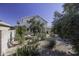 Backyard with desert landscaping and a view of the back of the home at 4530 E Desert Wind Dr, Phoenix, AZ 85044