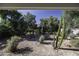 A naturally landscaped backyard featuring desert vegetation, trees, and shrubs at 4530 E Desert Wind Dr, Phoenix, AZ 85044