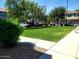 Well-maintained common green space, perfect for recreation and relaxation within the community at 4716 E Red Oak Ln # 102, Gilbert, AZ 85297