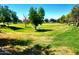 Lush community park with green space and picnic tables, providing a relaxing outdoor retreat for residents at 4716 E Red Oak Ln # 102, Gilbert, AZ 85297