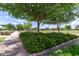 A green neighborhood with mature trees and flower beds, offering a serene environment at 5460 S Dillon Cir, Mesa, AZ 85212