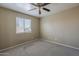 Bedroom featuring carpeted floors, a window, and a ceiling fan at 823 W Bradford Dr, Gilbert, AZ 85233