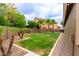 Well-maintained backyard with green grass, palm trees, and a block fence at 10261 W Foothill Dr, Peoria, AZ 85383