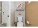 A cozy powder room with toilet, wall decor, and sink, exuding simplistic elegance at 11320 E Newcastle Ave, Mesa, AZ 85209