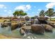 Picturesque water feature with natural rock formations and lush greenery enhances the Sunland Springs community at 11320 E Newcastle Ave, Mesa, AZ 85209