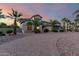 Beautiful home featuring desert landscaping, a circular brick driveway, and mature palm trees at 14494 W Yucatan St, Surprise, AZ 85379