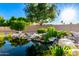 Charming backyard pond with rock features and vibrant greenery, creating a tranquil oasis at 14494 W Yucatan St, Surprise, AZ 85379