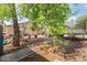 Expansive backyard offers a trampoline, shaded dining area, hammock, and mature trees at 1507 W Mesquite Ave, Apache Junction, AZ 85120