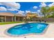 Inviting backyard pool with lounge umbrella, lush landscaping, and a beautiful blue sky at 2111 E Yellowstone Pl, Chandler, AZ 85249
