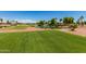 Scenic view of lush green golf course fairways, with a pond and palm trees in the background at 22222 N Pedregosa Dr, Sun City West, AZ 85375