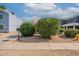 Well-maintained front yard with desert landscaping, mailbox, and yellow fire hydrant at 2731 E Windsor Ave, Phoenix, AZ 85008
