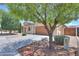 A bright exterior view of the home featuring a well maintained yard and a shade tree at 36255 W Marin Ave, Maricopa, AZ 85138