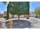 View of the home's exterior with a large shade tree and lush landscaping at 36255 W Marin Ave, Maricopa, AZ 85138