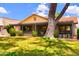 Beautiful backyard, grassy area and mature tree at 365 Leisure World --, Mesa, AZ 85206
