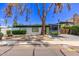 Beautifully landscaped home with modern architectural details, carport, and a charming front exterior at 3710 E Altadena Ave, Phoenix, AZ 85028