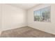 Carpeted bedroom with a large window providing ample natural light and views of the outdoors at 3894 E Dogwood Pl, Chandler, AZ 85286