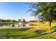A picturesque pond featuring a fountain and lush green grass with a beautiful tree at 3894 E Dogwood Pl, Chandler, AZ 85286