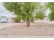 Quaint single-story home featuring desert landscaping, a carport, and a welcoming entryway at 5410 E University Dr, Mesa, AZ 85205