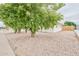 Charming home exterior with desert landscaping and mature trees, offering shade and curb appeal at 5410 E University Dr, Mesa, AZ 85205