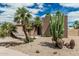 Beautiful home showcasing desert landscaping with palm trees, cacti, and a concrete driveway at 5526 N 77Th Way, Scottsdale, AZ 85250